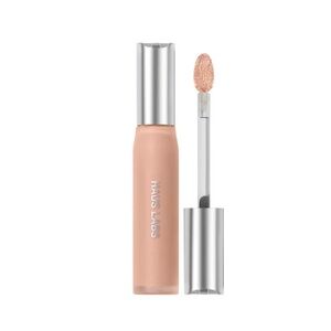 HAUS LABS CONCEALER ✨